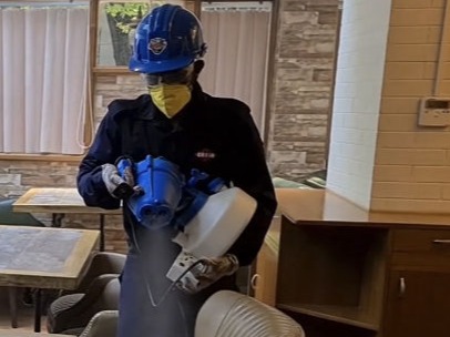 orkin disinfection
